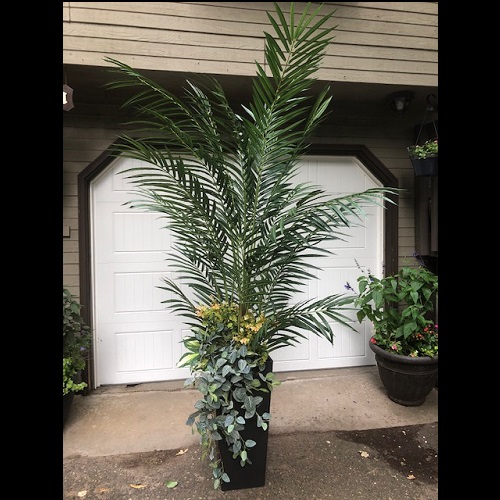 Potted Areca Palm with Hanging Greenery - Idea Gallery - Hawaiian Artificial Potted trees for rent